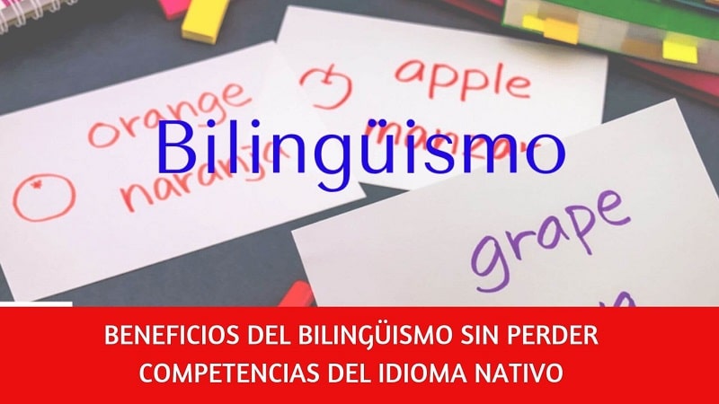 Cómo ser bilingüe sin perder competencias del idioma nativo